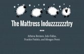 The Mattress Induzzzzzzztry - Cornell University presentations... · The Mattress Induzzzzzzztry ... Simmons Bedding Company 3rd largest US mattress retailer Emerged from bankruptcy