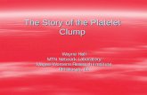The Story of the Platelet Clump - Microbicide Trials Network The Story... · The Story of the Platelet Clump Wayne Hall MTN Network Laboratory . Magee-Womens Research Institute .