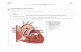 37-1 The Circulatory System-pg · PDF fileName: Per: Date: Row: Big Idea/Questions/Notes: Ch 37: Circulatory and Respiratory System 37-1 The Circulatory System-pg.122 A. Functions