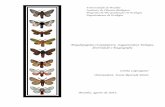 Megalopygidae (Lepidoptera, Zygaenoidea): biologia ... · PDF fileEstado atual do conhecimento taxonômico ... Desafios atuais e recomendações para pesquisas ... (visão ventral)