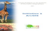 Initiation à ArcGIS - orbi.uliege.be SIG... · GIS Geographical Information System (= SIG) MNT, MNA, MNE Modèle Numérique de Terrain /d’Altitude / d’Eléation NDVI Normalized