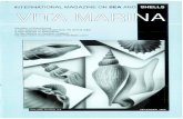 VDTA M ARiiH -  · PDF fileA magazine on marine Zoology, with emphasis Een blad op het gebied van mariene zoölogie, on molluscs met nadruk op weekdieren. EDITORIAL STAFF