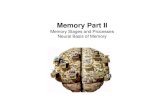 Memory Part II - University of California, Irvinepsiexp.ss.uci.edu/research/teaching9B/Memory_partII_distr.pdf · 20Memory/PsychSim_Shell.html. ... memory of display decays rapidly