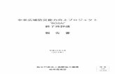 ”BOSAI” - open_jicareport.jica.go.jpopen_jicareport.jica.go.jp/pdf/12068680_01.pdf · CCE Comité Comunal de Emergencias ... CNE Comisión Nacional de Prevención de Riesgos y