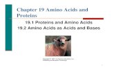 Chapter 19 Amino Acids and Proteins - OU Campus 5 Proteins and...‚ ‚ Chapter 19 Amino Acids and Proteins 19.1 Proteins and Amino Acids ... Chapter 19 Amino Acids and Proteins