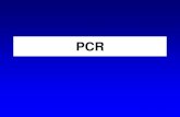 PCR - Wilkommenmolgen.biologie.uni-mainz.de/F1-Vorbesprechungen/F1_PCR.pdf · Der PCR-Zyklus 1. Denaturierung (94-98°C, 1-60 sec) 2. Primerbindung (50-65°C, 1-60 sec), ca. 5°C