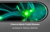 Charcot Marie Tooth Disease ??  â€¢ First identified in 1886 by Martin Charcot, Pierre Marie and Howard Henry Tooth ... foot and hand deformities ... Charcot-Marie-Tooth Disease