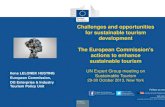 Challenges and opportunities for sustainable tourism ... · PDF fileChallenges and opportunities for sustainable tourism development ... •Social and Regional Cohesion ... networks