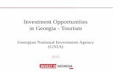 Investment Opportunities in Georgia - Tourism - · PDF fileInvestment Opportunities in Georgia - Tourism ... Investment opportunities in Free Tourism Zones ... Azerbaijan, Iran, Israel,