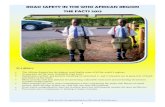 ROAD SAFETY IN THE WHO AFRICAN REGION THE FACTS · PDF fileROAD SAFETY IN THE WHO AFRICAN REGION THE FACTS 2013 At a glance ... Mali, Mauritania, Mauritius, Mozambique, Namibia, Rwanda,