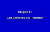 Chapter 11 Gas Exchange and Transports/Egan... · Abnormalities of Gas Exchange and Transport (cont.) Impaired DO 2 due to Hb deficiencies ...