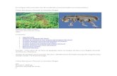 Web viewEl Gorgojo Descortezador del Pino (Dendroctonus frontalis) en Centroamérica. Cómo Reconocer, Prevenir y Controlar Plagas