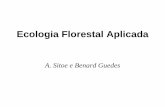 Ecologia Florestal Aplicada - osilvicultor.weebly.comosilvicultor.weebly.com/uploads/7/4/5/2/7452964/aula1a.pdf · Requisitos . Princípios ecológicos •Dinâmica populacional:
