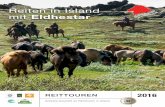 Reiten in Island mit Eldhestar - island-reisen.de 2016/Eldhestar... · Eldhestar holt sie von ihrem Hotel für eine Halbtagestour ab, die für alle Reitniveaus geeignet ist. Den Nachmittag