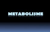 METABOLISME - unpak.ac.idPLPG-2012).pdf · sintesis molekul kimia yang menghasilkan & membutuhkan panas ... Jika kadar fotosintat seperti karbohidrat berkurang, laju fotosintesis