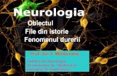 Neurologia - medclub2.ucoz.romedclub2.ucoz.ro/_sf/0/28_Neurologia_Obie.pdf · fondatorul psihanalizei . DR. HUGHLINGS JACKSON ... A formulat conceptul şi principiile, care explică