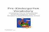 Pre-Kindergarten · PDF filePre-Kindergarten C. Schoenfelder ~ 2004 Pre-Kindergarten Vocabulary Created by Carrie Schoenfelder Staff Development Teacher Strawberry Knoll Elementary