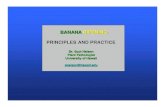 BANANA RIPENING: PRINCIPLES AND PRACTICE · PDF fileBANANA RIPENING: PRINCIPLES AND PRACTICE Dr. Scot Nelson Plant Pathologist University of Hawaii snelson@