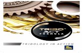 TriboACT Formula® - cyclon-lpc.comcyclon-lpc.com/wp-content/uploads/2016/09/TRIBOLOGY-ELL.pdf · kρίσιμο Θέμα / ... μεταλλικών επιφανειών του κινητήρα