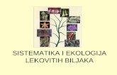 SISTEMATIKA I EKOLOGIJA LEKOVITOG BILJAnasport.pmf.ni.ac.rs/materijali/1031/02 Sistematska pripadnost... · Klasična klasifikacija • Danas su sva živa bića podeljena u šest