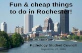 Fun things to do in Rochester! - Welcome to URMC · PDF fileFun & cheap things to do in Rochester! Pathology Student Council September 24, 2010. ... Fried Ika (Deep fried squid w