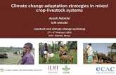Climate change adaptation strategies in mixed crop ... · PDF fileClimate change adaptation strategies in mixed ... Importance of crop-livestock systems 2. ... Integrated Manure Management