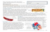 Name(s): HASPI Medical Anatomy & Physiology 13a · PDF file483 HASPI Medical Anatomy & Physiology 13a Station Lab Activity The Cardiovascular System The cardiovascular system is made