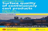 International Workshop Surface quality of continuously ... · PDF fileInternational Workshop Surface quality of continuously cast ... • the root cause of the defects; ... scales