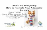 Looks are Everything: How to Promote Your Adoptable Animals · PDF fileLooks are Everything: How to Promote Your Adoptable Animals ... -9ft x 6ft white vinyl sheet as backdrop ...