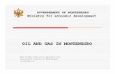 OIL AND GAS IN MONTENEGRO - Vlada Crne · PDF fileGOVERNEMENT OF MONTENEGRO Ministry for economic development OIL AND GAS IN MONTENEGRO MSc. Vladan Dubljevi ć geophysicist . Geological