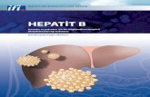HEPATİT B - ifi-medizin.de hepatit C virüsüne eklemek mümkün olmuştur. Hastalıkların kronik seyir-lerinden özellikle B ve C hepatit virüsleri sorumludur. Son yıllarda B