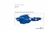 RPH Type Series Booklet -  · PDF fileRPH, n = 2900 rpm ... Back pull-out design Single-stage Meets technical requirements to API 610, 11th edition / ISO 13709