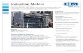 Induction Motors - Electric · PDF fileInduction Motors Horizontal and Vertical WEG Electric Machinery, WEM, induction motors have been specifically designed and manufactured for the