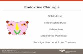 Endokrine Chirurgie - MH-Hannover: Startseite · PDF fileStruma multinodosa ca. 1880 Prof. Dr. GFW Scheumann ... 2 der 3 Läsionen müssen vorhanden sein, um die klinische Diagnose
