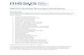 MESYS Rolling Bearing  · PDF fileMESYS Rolling Bearing Calculation Introduction This rolling bearing calculation ... XLSX, or ^XLS _ topmargin The top margin for the report in mm