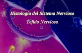 Histologa del Sistema Nervioso Tejido Nervioso - cdc.udp.cl NerviosoNerviosoNervioso â€¢ Sistema Nervioso Central Cerebro, medula espinal: tejido nervioso meninges, plexos coroideo: