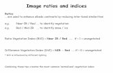 Image ratios and indices - gis.unbc.cagis.unbc.ca/wp-content/uploads/2013/05/indices2017.pdf · Image ratios and indices Ratios … are used to enhance albedo contrasts by reducing