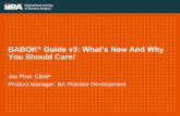 BABOK Guide v3: What’s New And Why You Should Care! · PDF fileBABOK® Guide v3: What’s New And Why You Should Care! Jas Phul, CBAP Product Manager, BA Practice Development