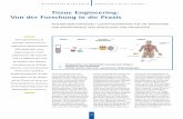 tissue engineering: Von der Forschung in die Praxis · PDF fileaus der Klinik für Herz-, Tho-rax-, Transplantations- und Gefäßchirurgie (Medizinische ... Operation Procedures (SOP)