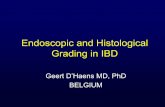 Endoscopic and Histological Grading in IBD - Falk · PDF fileEndoscopic and Histological Grading in IBD Geert D’Haens MD, PhD BELGIUM. Typical Lesions in Active Crohn’s Disease