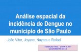 Análise espacial da incidência de Dengue no município de ... · PDF fileAnálise espacial da incidência de Dengue no município de São Paulo João Vitor, Joyane, Nayara e Rafael