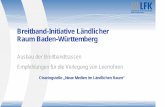 Breitband-Initiative Ländlicher Raum Baden-Wü · PDF fileClearingstelle „Neue Medien im Ländlichen Raum“ Breitband-Initiative Ländlicher Raum Baden-Württemberg Ausbau der