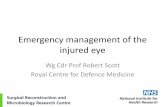 Emergency management of the injured eyemreh200.org.uk/media/15573/Wed_Conf1_1620_Robert Scott.pdf · Paperclip tricks . Make an eyelid retractor . ... •AM biological bandage •Stimulates