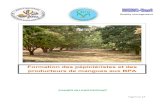 Formation des pépiniéristes et des producteurs de mangues ... · PDF filePage 1 sur 17 Formation des pépiniéristes et des producteurs de mangues aux BPA CAHIER DU PARTICIPANT Quality