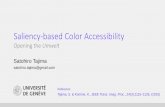 Saliency-based Color Accessibility - Gipsa- · PDF fileSaliency-based Color Accessibility Opening the Umwelt Satohiro Tajima satohiro.tajima@gmail.com Reference: Tajima, S. & Komine,