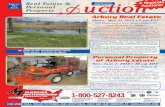 Arbury Real Estate Auction 1329 Tittabawassee River …assets1.mytrainsite.com/501277/brochure5.pdf · lanterns, wood working tools, hand tools, live game traps, stoves, wood vintage