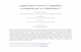 Angels and Venture Capitalists: Complements or Substitutes? · PDF fileAngels and Venture Capitalists: Complements or Substitutes? Thomas Hellmann1 Sauder School of Business, University