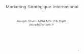 Joseph Shami MBA MSc BA DipM joseph@shamiarlekinade.free.fr/IAE/s1/internationalmarketing.pdf · 2 3C’s Client Concurrent Compagnie SCP 4P’s Segmentation Ciblage Positionnement