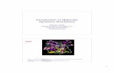 Introduction to Molecular Dynamics Simulations - · PDF fileIntroduction to Molecular Dynamics Simulations Roland H. Stote Institut de Chimie LC3-UMR 7177 ... Molecular Dynamics Simulation