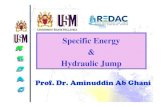Specific Energy & Hydraulic Jump - redac , usmredac.eng.usm.my/EAH/Handouts/Specific Energy 2011.pdf · 7 Schematic and flow depth-specific energy diagram for a hydraulic jump (specific